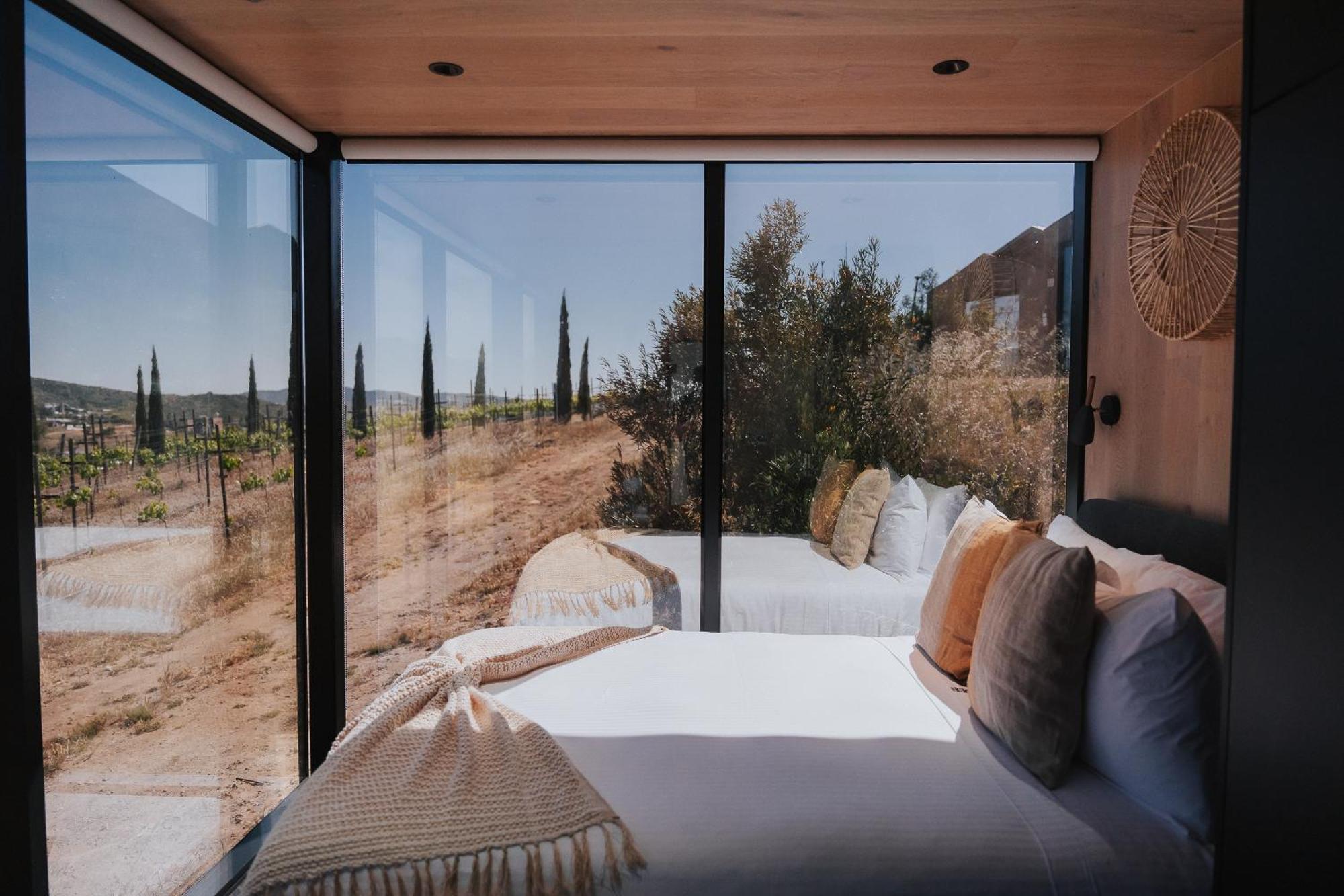 Bajo Estrellas Hotel Contemporaneo Valle de Guadalupe Exterior photo